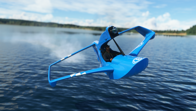 Lake Skipper